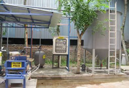 tatawa
